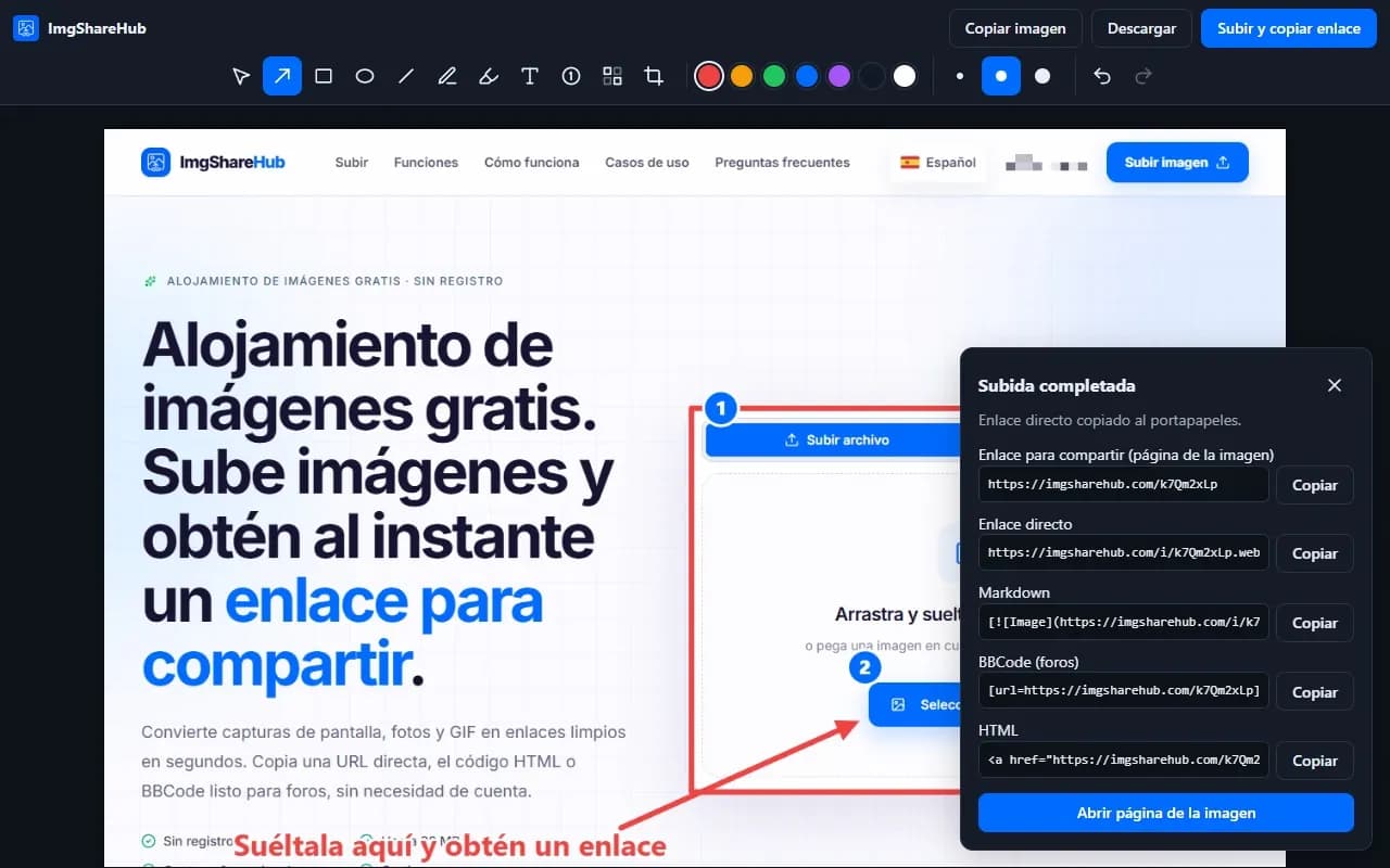 Tras subir: el enlace para compartir, el enlace directo, Markdown, BBCode y HTML, cada uno con un botón para copiar