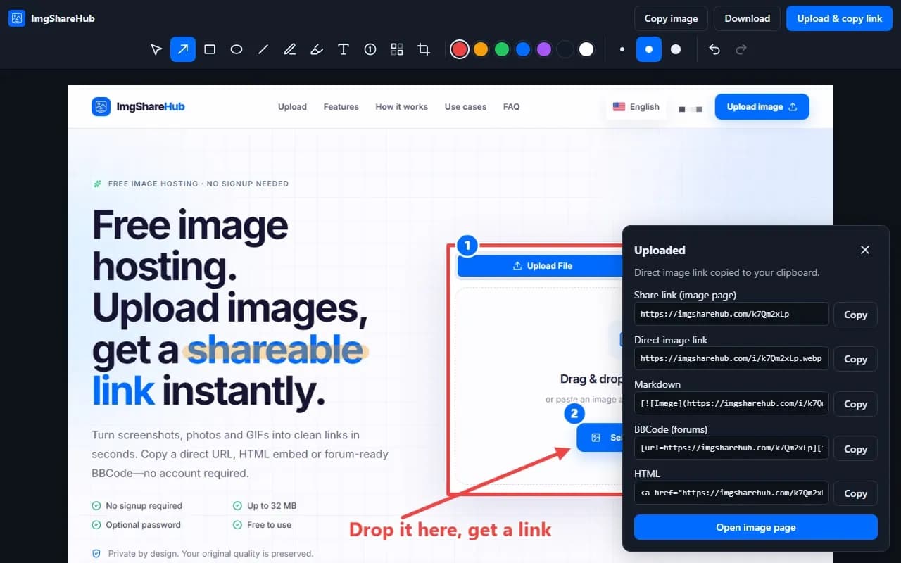 After uploading: the share link, direct link, Markdown, BBCode and HTML, each with a copy button