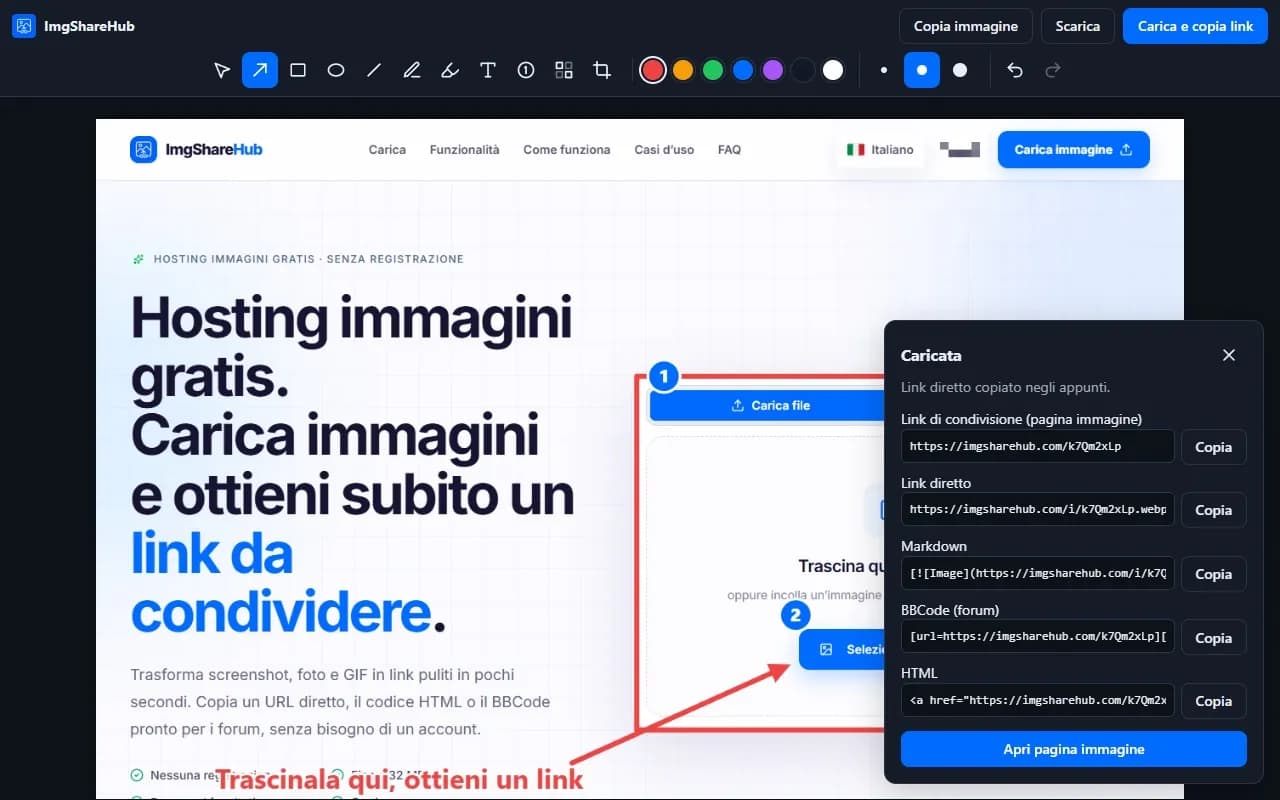 Dopo il caricamento: link di condivisione, link diretto, Markdown, BBCode e HTML, ciascuno con un pulsante per copiare