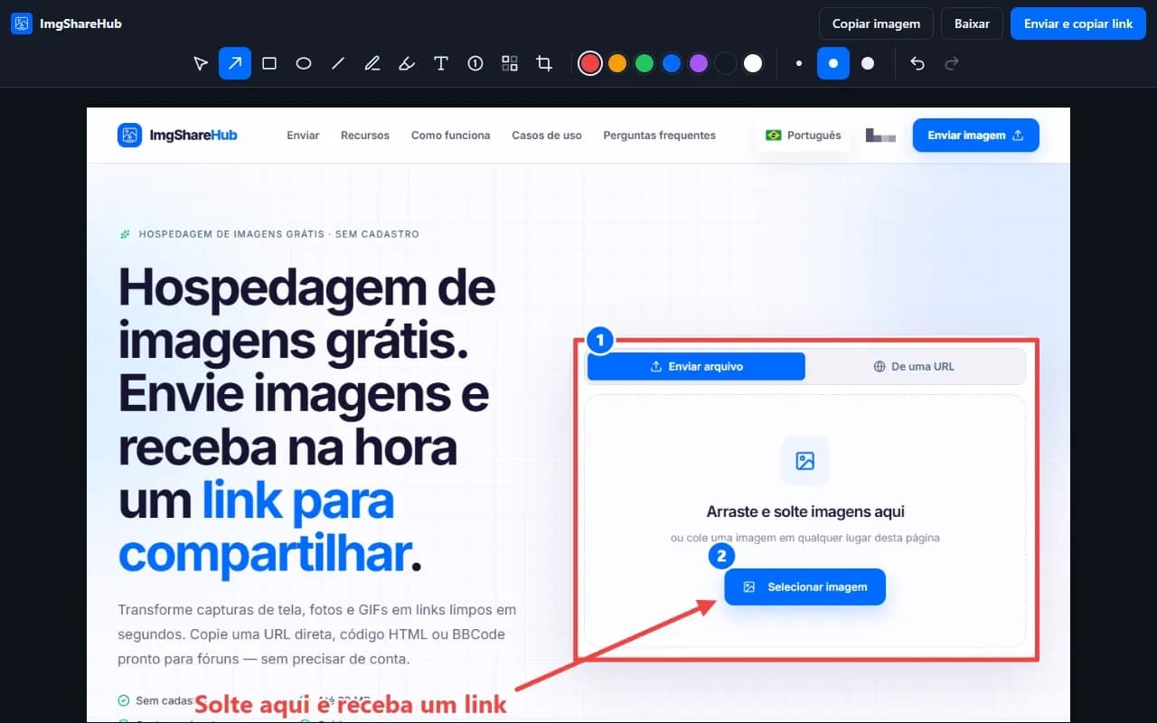 O editor da extensão do ImgShareHub com uma seta, uma caixa, passos numerados e texto desenhados sobre uma captura de tela