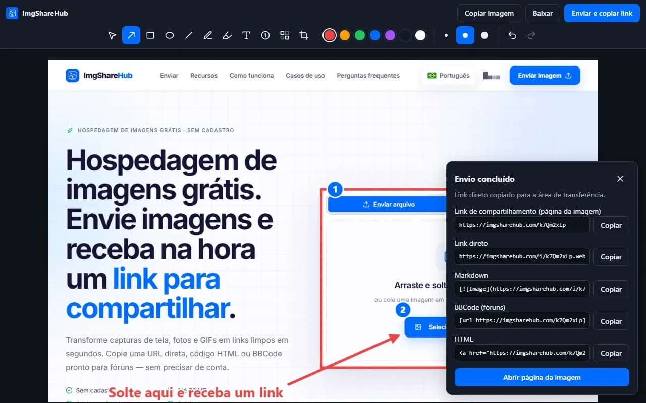 Depois do envio: o link de compartilhamento, o link direto, Markdown, BBCode e HTML, cada um com um botão de copiar