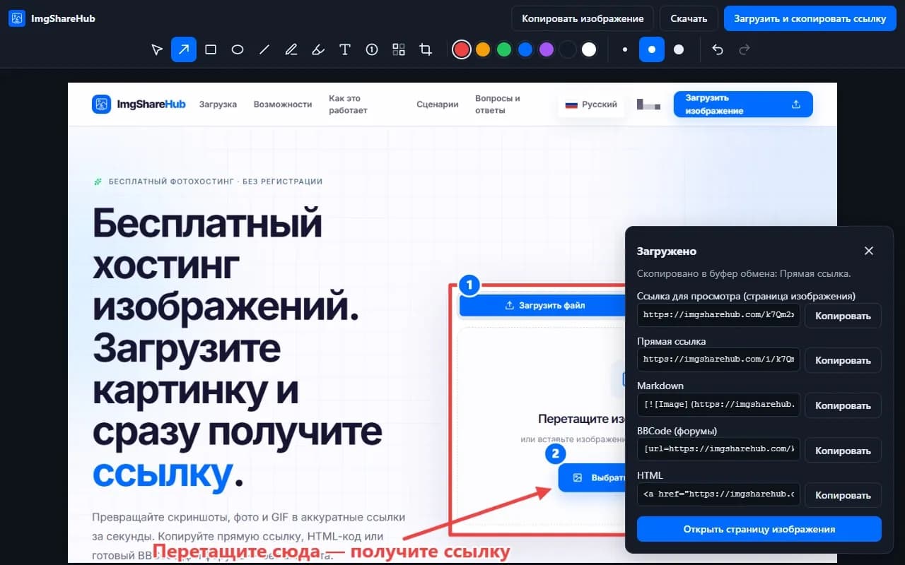 После загрузки: ссылка для просмотра, прямая ссылка, Markdown, BBCode и HTML, у каждой — кнопка копирования